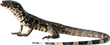 Тегу